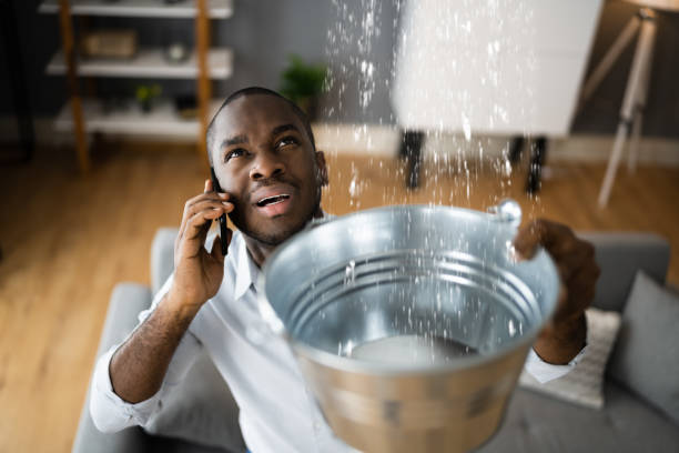 Best Flooded house restoration  in Central, LA