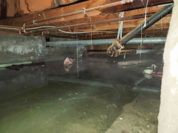 Best Water damage restoration near me  in Central, LA