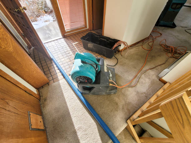 Best 24/7 water damage repair  in Central, LA