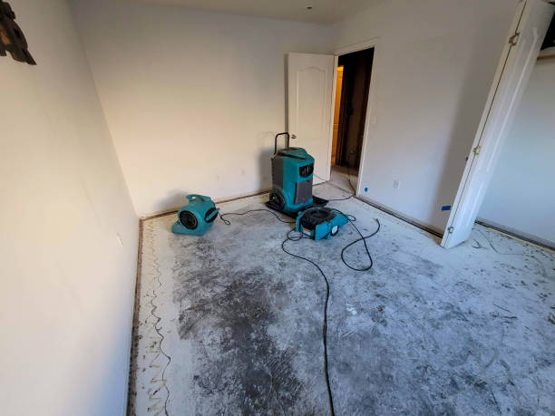 Best Sewage cleanup and water damage restoration  in Central, LA