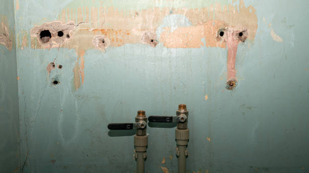 Best Water damage restoration cost  in Central, LA