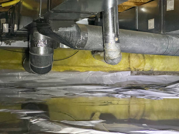 Best Water damage mitigation services  in Central, LA