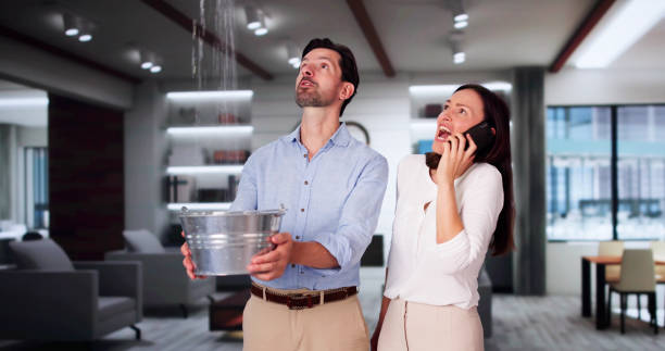 Best Professional water damage repair  in Central, LA