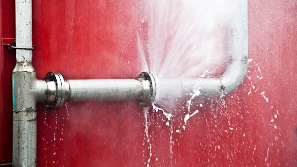 Carpet water damage restoration in Central, LA