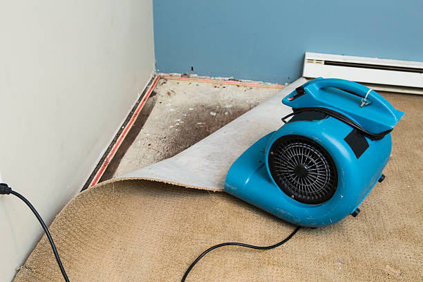 Best Flood damage cleanup  in Central, LA